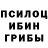 Галлюциногенные грибы GOLDEN TEACHER #okex