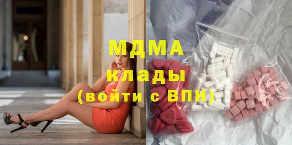 прущие грибы Каменногорск