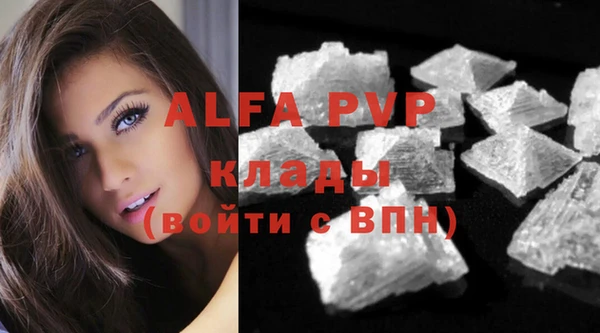 прущие грибы Каменногорск