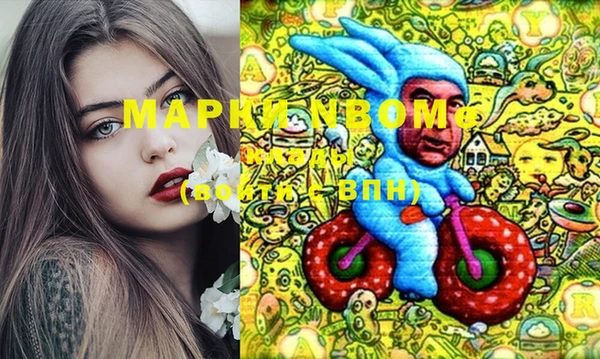 прущие грибы Каменногорск