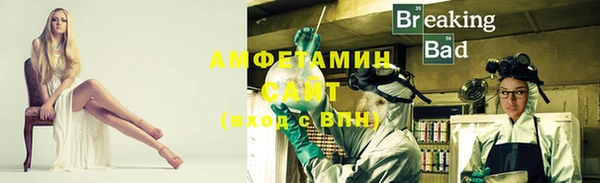 прущие грибы Каменногорск