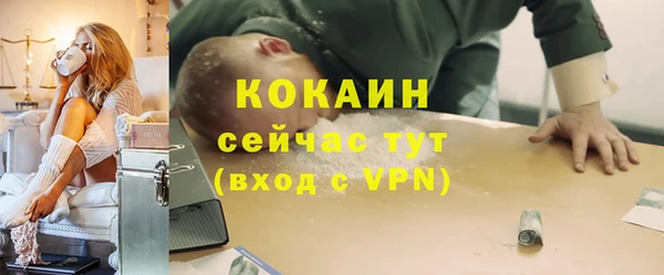 прущие грибы Каменногорск