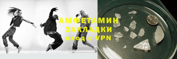 прущие грибы Каменногорск