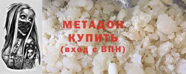 прущие грибы Каменногорск
