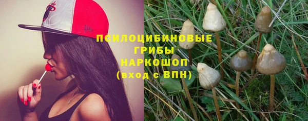 кокаин Каменка