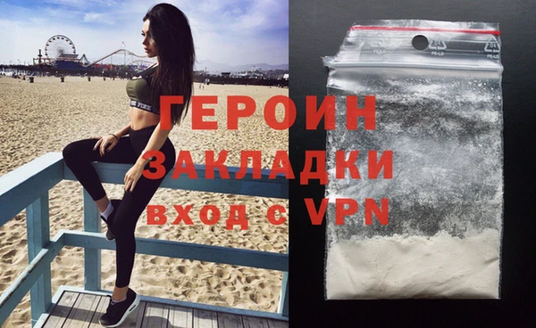 прущие грибы Каменногорск